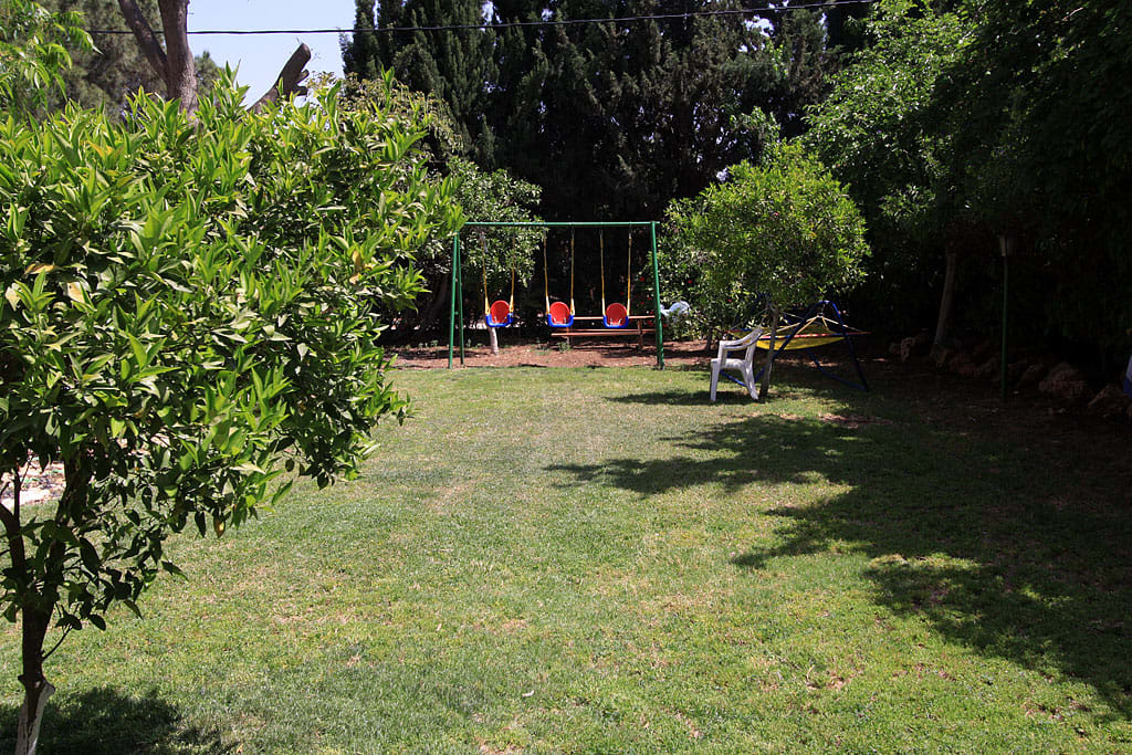 החצר